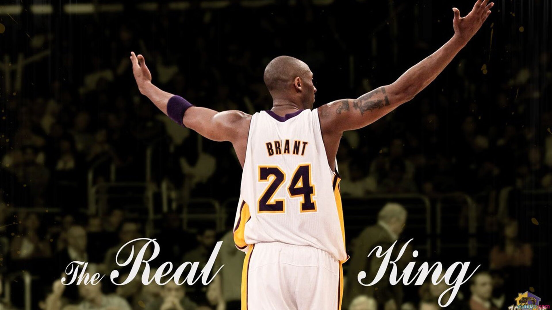 猛龙踏平森林狼，乔治如何用节奏掌控艺术改写比赛基因？